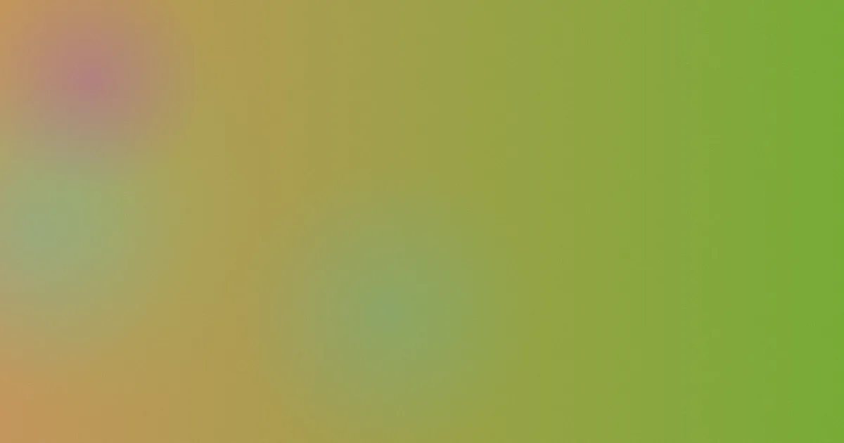 周思源攻略：和其他导读怎么选
